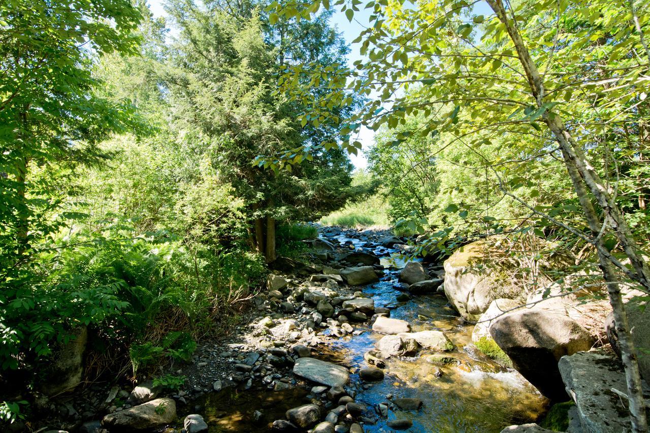 Camping Chalets Spas Pignons Rouges Saint Romain Exteriér fotografie